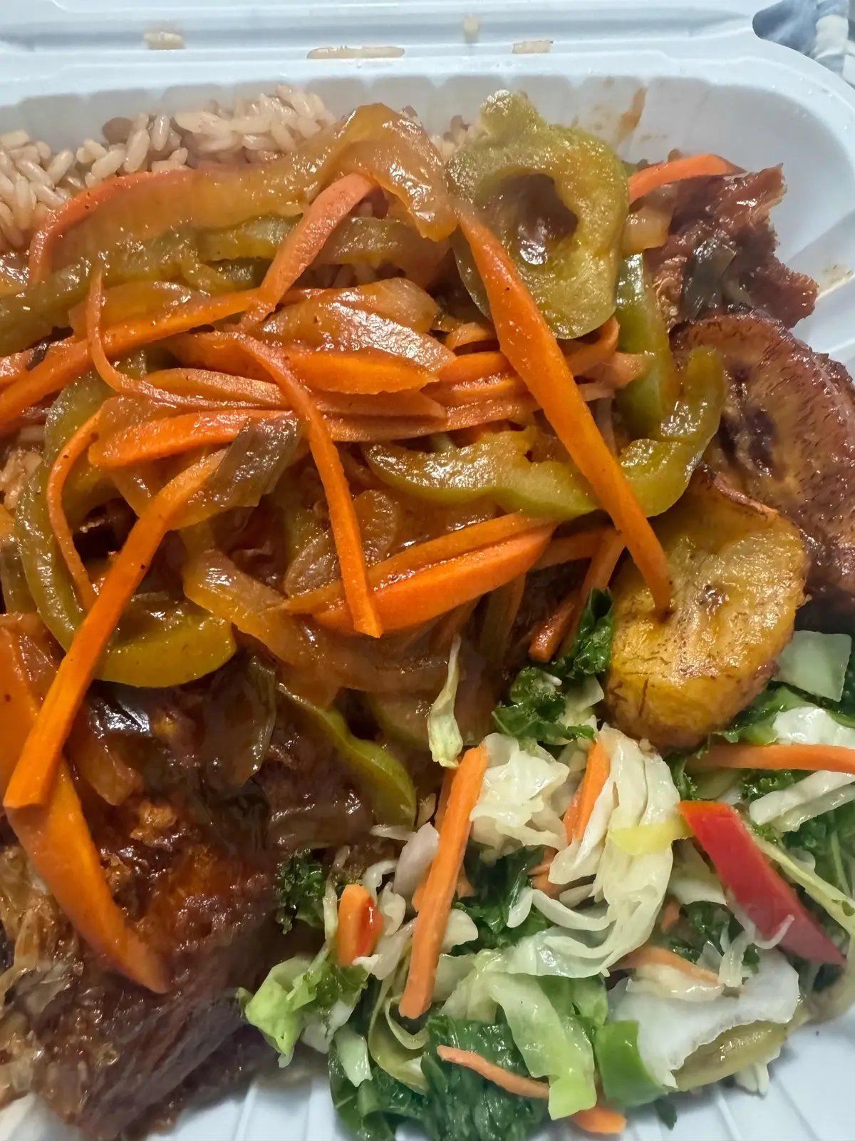 Large Brown Stew Fish
